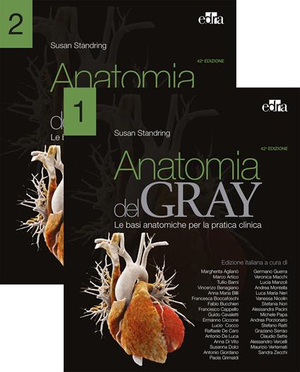 Anatomia del Gray. Le basi anatomiche per la pratica clinica. Vol. 1-2 - Susan Standring - copertina