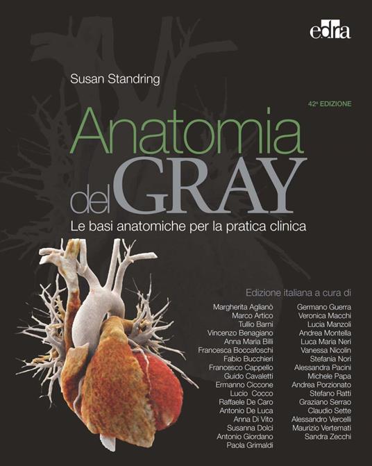 Anatomia del Gray. Le basi anatomiche per la pratica clinica. Vol. 1-2 -  Standring, Susan - Ebook - EPUB2 con Adobe DRM | laFeltrinelli
