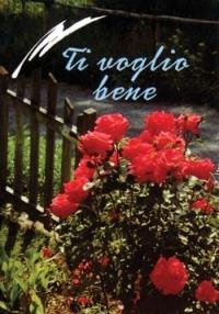 Ti voglio bene - copertina