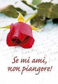 Se mi ami, non piangere! - copertina