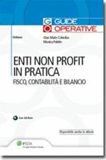 Enti non profit in pratica