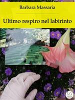 Ultimo respiro nel labirinto