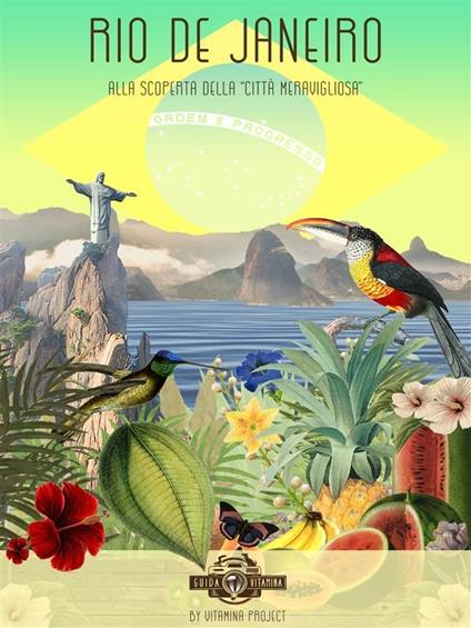 Rio de Janeiro. Alla scoperta della «città meravigliosa». Guida vitamina - Rocco D'Alessandro,Giulia Magnaguagno - ebook