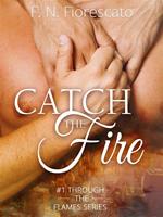 Catch the fire. Through the flames series