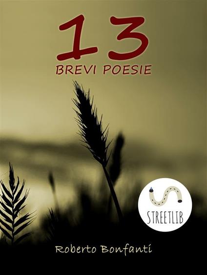 13 brevi poesie - Roberto Bonfanti - ebook