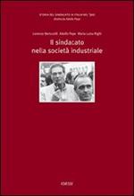 Storia del sindacato in Italia nel '900. Vol. 4: Il sindacato nella società industriale