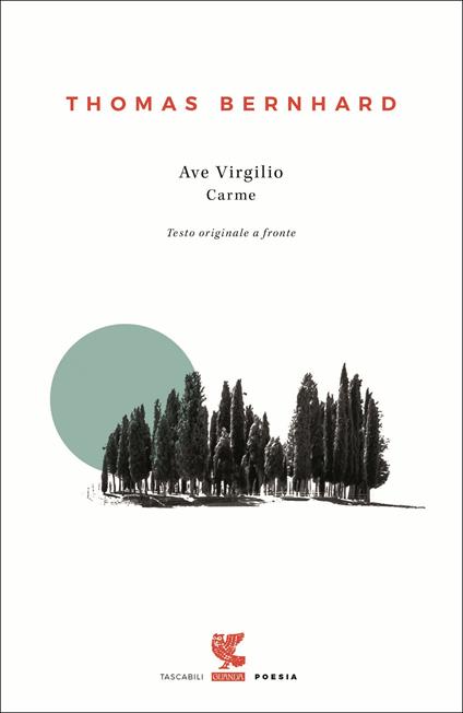 Ave Virgilio. Carme. Testo tedesco a fronte - Thomas Bernhard - copertina