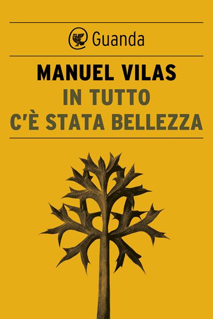 In tutto c'è stata bellezza - Manuel Vilas,Bruno Arpaia - ebook