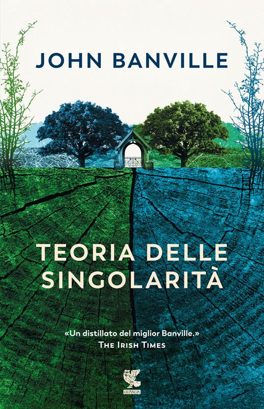 Teoria delle singolarità - John Banville - copertina