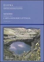 I fenomeni naturali di sinkhole nelle aree di pianura italiane