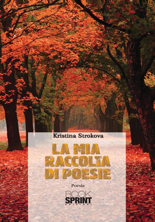 La mia raccolta di poesie - Kristina Strokova - copertina