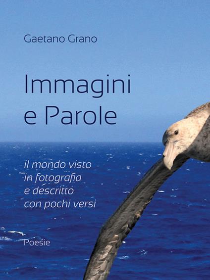 Immagini e parole. Il mondo visto in fotografia e descritto con pochi versi - Gaetano Grano - copertina