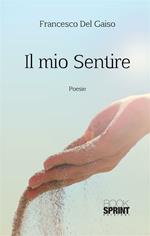 Il mio sentire