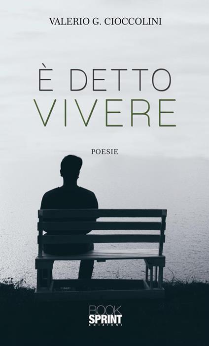 È detto vivere - Valerio G. Cioccolini - ebook