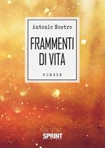 Frammenti di vita