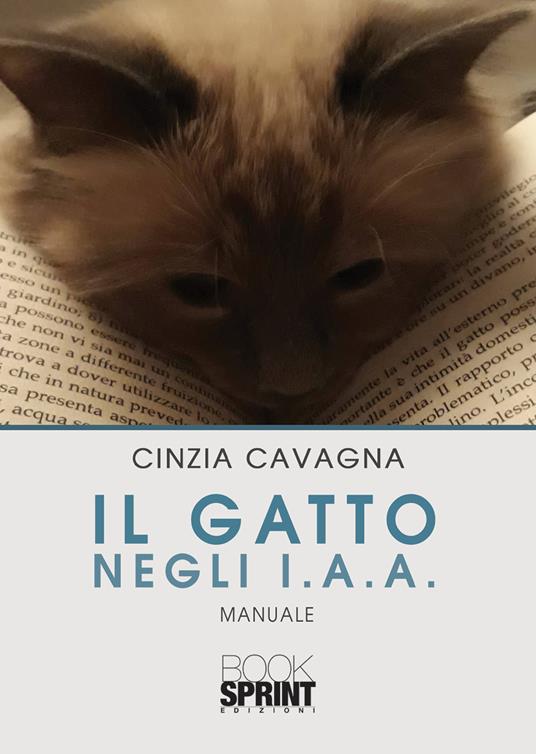 Il gatto negli I.A.A. - Cinzia Cavagna - copertina