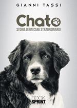 Chato. Storia di un cane straordinario