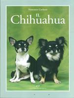 Il chihuahua