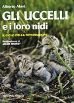 Gli uccelli e i loro nidi. Il ciclo della riproduzione