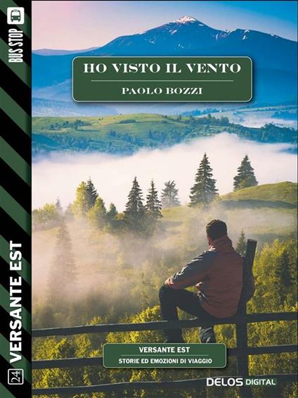 Ho visto il vento - Paolo Bozzi - ebook