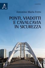 Ponti, viadotti e cavalcavia in sicurezza