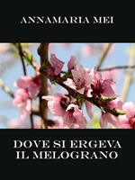 Dove si ergeva il melograno