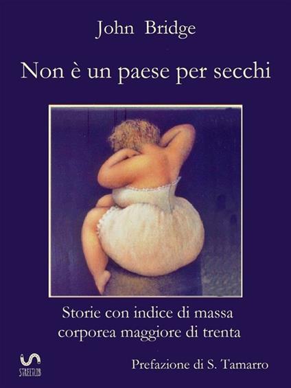 Non è un paese per secchi. Storie con indice di massa corporea superiore a trenta - John Bridge - ebook