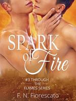 Spark of fire. Through the flames series