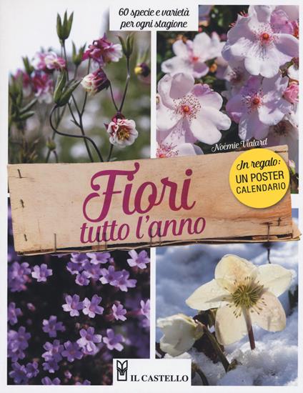 Fiori tutto l'anno. 60 specie e varietà per ogni stagione - Noémie Vialard - copertina