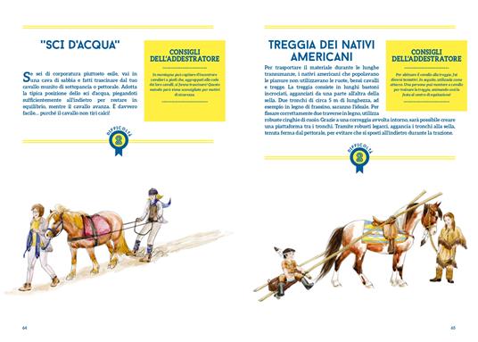 50 giochi e attività per educare il tuo cavallo. Ediz. a colori - Claude Lux - 6