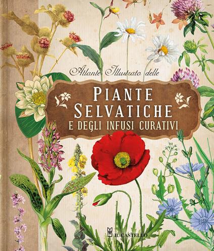 Atlante illustrato delle piante selvatiche e degli infusi curativi - copertina