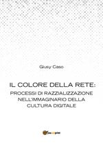 Il colore della rete: processi di razzializzazione nell'immaginario della cultura digitale