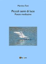 Piccoli semi di luce. Poesie meditative