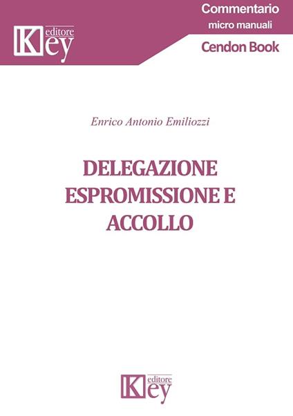 Delegazione espromissione e accollo - Enrico Antonio Emiliozzi - ebook