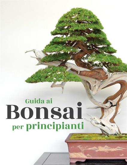 Guida ai bonsai per principianti - Bonsai Empire - ebook