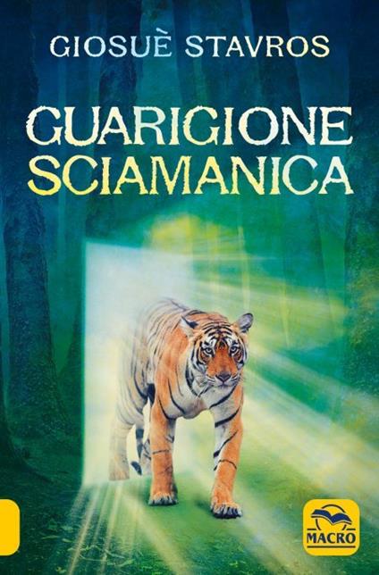 Guarigione sciamanica. Con Contenuto digitale (fornito elettronicamente) - Giosuè Stavros - copertina