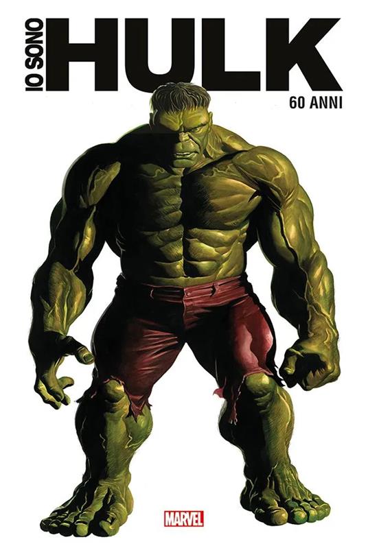 Io sono Hulk. Anniversary edition - Libro - Panini Comics - Marvel |  laFeltrinelli