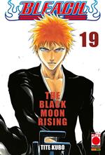 Bleach. Vol. 19: Bleach