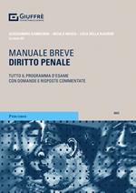 Diritto penale. Manuale breve