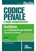 Codice penale e leggi complementari. Guidato con il commento per articolo, il glossario, gli schemi