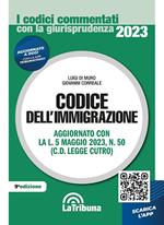 Codice dell'immigrazione