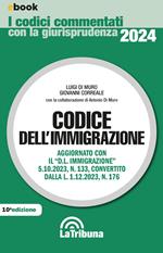 Codice dell'immigrazione