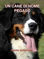 Un cane di nome Pegaso