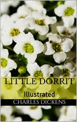 Little Dorrit - Illustrated