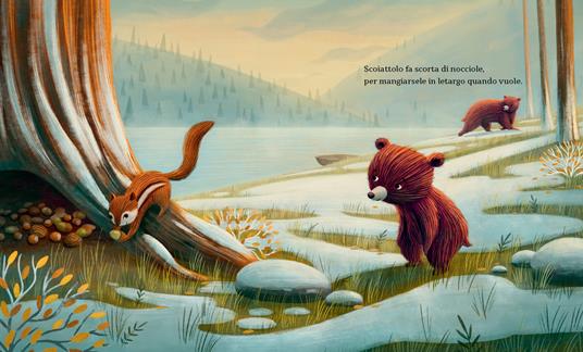 Ninna nanna dell'inverno. Ediz. illustrata - Dianne White - 3