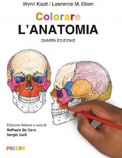 Colorare l'anatomia - Wynn Kapit,Lawrence M. Elson - copertina