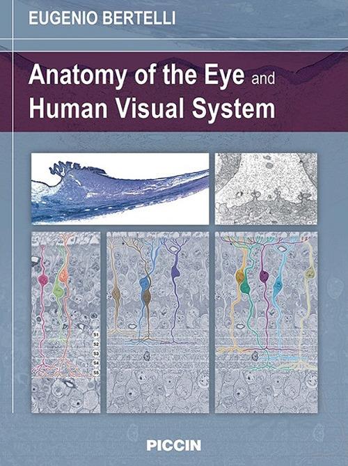 Anatomy of the eye and human visual system - Eugenio Bertelli - copertina