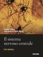 Il sistema nervoso centrale