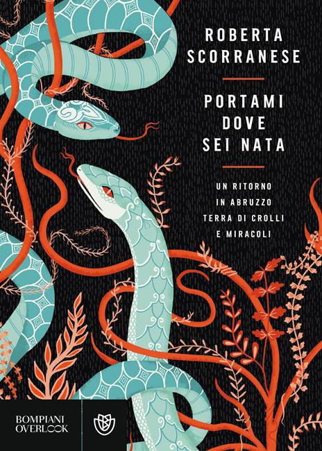 Portami dove sei nata. Un ritorno in Abruzzo, terra di crolli e miracoli - Roberta Scorranese - copertina