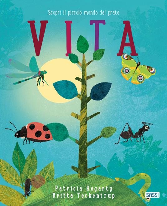 Vita. Ediz. a colori - Patricia Hegarty - Libro - Sassi - Sassi junior